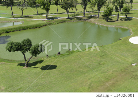 Golf course with lake and trees. Top view. Golf course with lake and trees. Top view. 114326001