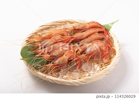 ［北海道産］北海しまえび　刺身用 114326029