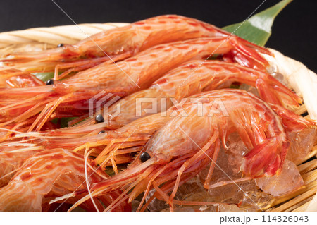 ［北海道産］北海しまえび　刺身用 114326043