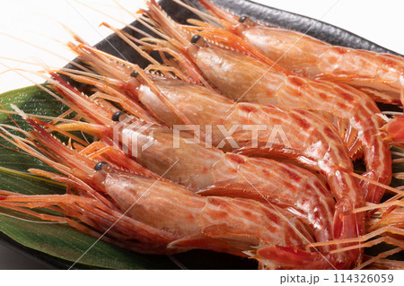 ［北海道産］北海しまえび　刺身用 114326059