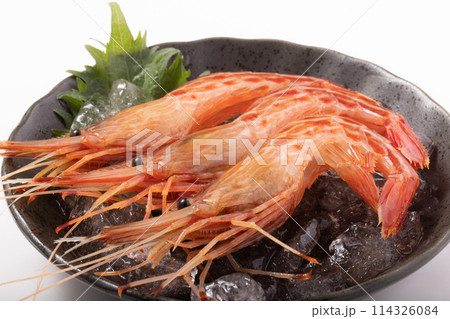 ［北海道産］北海しまえび　刺身 114326084