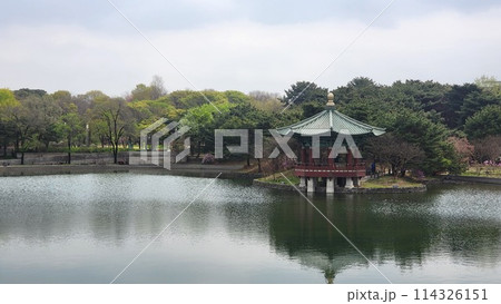 pavilion 114326151