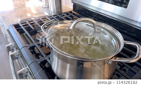 Captured in a home kitchen, this image features a stainless steel pot with boiling water on a gas stove, showcasing a common culinary preparation step with steam rising from the pot under natural Captured in a home kitchen, this image features a stainless steel pot with boiling water on a gas stove, showcasing a common culinary preparation step with steam rising from the pot under natural 114326182