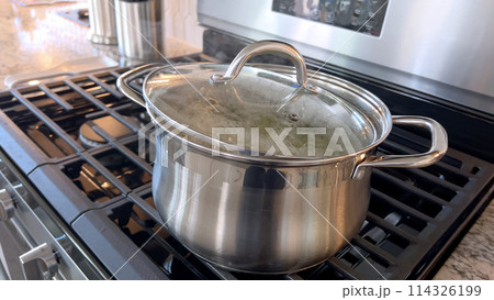 Captured in a home kitchen, this image features a stainless steel pot with boiling water on a gas stove, showcasing a common culinary preparation step with steam rising from the pot under natural Captured in a home kitchen, this image features a stainless steel pot with boiling water on a gas stove, showcasing a common culinary preparation step with steam rising from the pot under natural 114326199