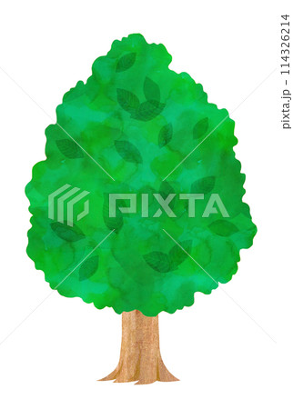 木のカットイラスト 114326214
