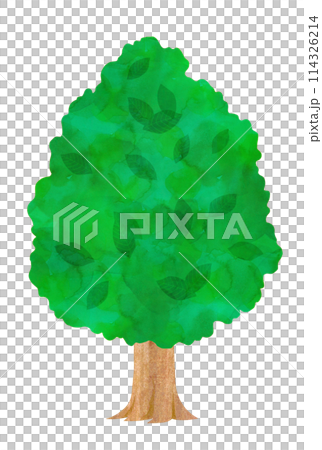 木のカットイラスト 114326214