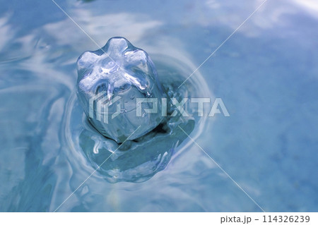 plastic bottle floats on the surface of the water 114326239