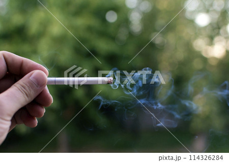 smoldering smoking cigarette in hand on the background of nature 114326284