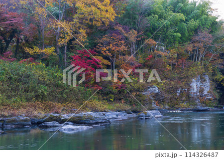 埼玉長瀞の秋 紅葉見頃の荒川 埼玉長瀞の秋 紅葉見頃の荒川 114326487