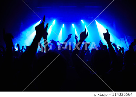 Nightclub, party and audience with hands or lights for music, concert or rave festival with spotlight and dancing. Disco, psychedelic event and performance with entertainment, crowd and mock up space 114326564