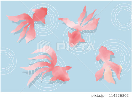 水面を泳ぐ水彩金魚のイラスト 114326802