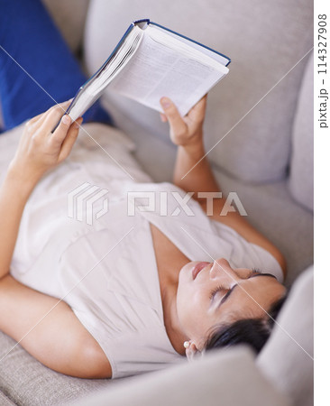 Woman, hobby and relax on sofa with book, reading and learning with story and literature entertainment at home. Happy, female person in living room with fiction or novel on couch for leisure Woman, hobby and relax on sofa with book, reading and learning with story and literature entertainment at home. Happy, female person in living room with fiction or novel on couch for leisure 114327908