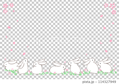 Illustration frame of many rabbits and cherry blossoms 114327949