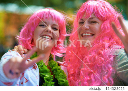 Portrait, music festival and women in wigs, friends and peace sign with fun and happiness. Face, people and girls with costume and dress up with joy and funny on a weekend break, concert and silly 114328023