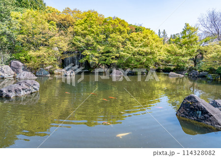兵庫県姫路市　姫路城西御屋敷跡庭園の好古園の庭と池 114328082