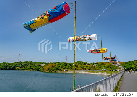 三重県四日市市 初夏の伊坂ダムの湖面とこいのぼり 三重県四日市市 初夏の伊坂ダムの湖面とこいのぼり 114328157