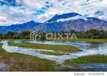 Nubra valley, Ladakh, India Nubra valley, Ladakh, India 114328279