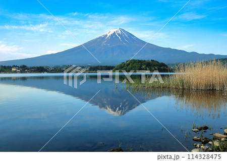 日本の風景　河口湖大石公園の逆さ富士　山梨県河口湖町 114328475