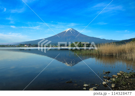 日本の風景 河口湖大石公園の逆さ富士 山梨県河口湖町 日本の風景 河口湖大石公園の逆さ富士 山梨県河口湖町 114328477