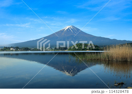 日本の風景　河口湖大石公園の逆さ富士　山梨県河口湖町 114328478