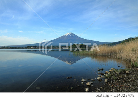 日本の風景　河口湖大石公園の逆さ富士　山梨県河口湖町 114328479
