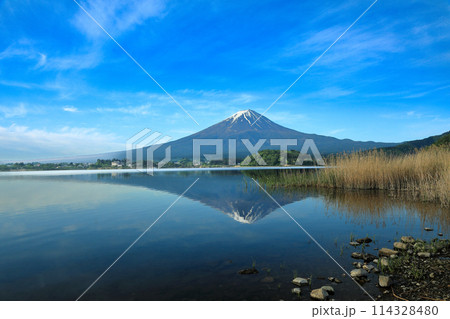 日本の風景 河口湖大石公園の逆さ富士 山梨県河口湖町 日本の風景 河口湖大石公園の逆さ富士 山梨県河口湖町 114328480