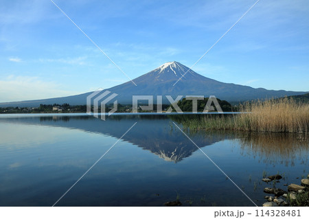日本の風景　河口湖大石公園の逆さ富士　山梨県河口湖町 114328481