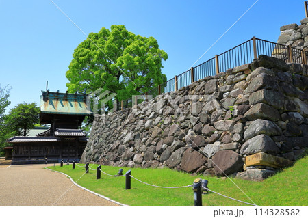奈良県大和郡山市　郡山城跡　天守台と柳澤神社 114328582