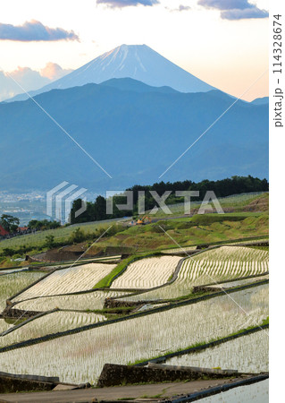 日本の原風景 南アルプスの夜明けの棚田と富士山 日本の原風景 南アルプスの夜明けの棚田と富士山 114328674