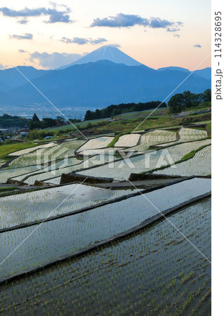 日本の原風景　南アルプスの夜明けの棚田と富士山　 114328695