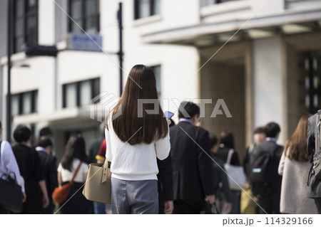 ビジネス街の横断歩道を渡りながらスマホを見る日本人女性の後ろ姿 114329166