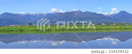 安曇野から望む北アルプスのパノラマ 114329312