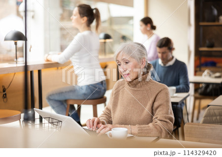 Interested senior female designer working on laptop in cafe 114329420