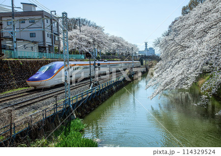 新幹線つばさ 新幹線つばさ 114329524