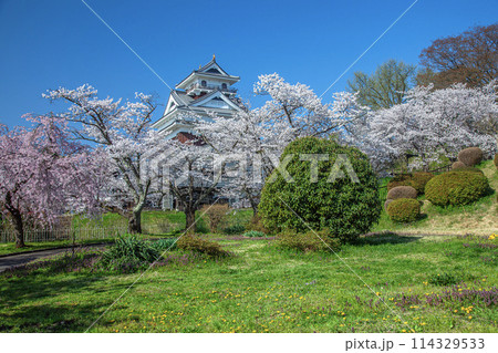 春の上山城 春の上山城 114329533