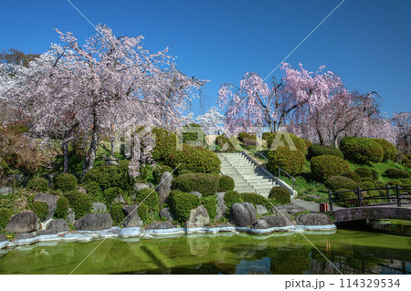 春の月岡公園 114329534