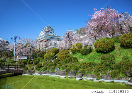 春の上山城 春の上山城 114329536