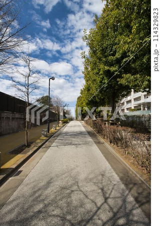 目黒区八雲一丁目の道路 目黒区八雲一丁目の道路 114329823