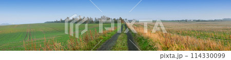 Banner, land and nature for farming outdoor, blue sky and wheat field for agriculture with sustainability, growth and eco. Meadow, Switzerland countryside and ecosystem, biodiversity and landscape Banner, land and nature for farming outdoor, blue sky and wheat field for agriculture with sustainability, growth and eco. Meadow, Switzerland countryside and ecosystem, biodiversity and landscape 114330099