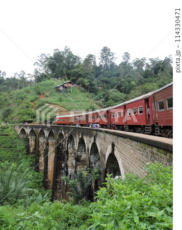 ナインアーチブリッジと列車 114330471