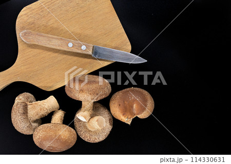 Fresh shiitake mushrooms displayed against a black backdrop 114330631