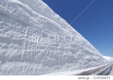 雪の大谷 立山黒部アルペンルート 雪の大谷 立山黒部アルペンルート 114330675