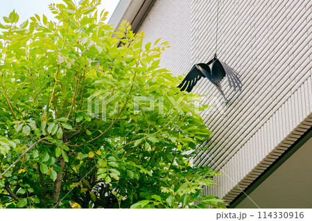 鳩避けにベランダからカラスをぶら下げる 鳩避けにベランダからカラスをぶら下げる 114330916