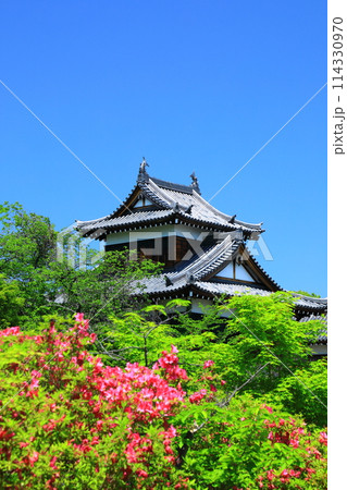 奈良県大和郡山市 郡山城跡 追手向櫓 奈良県大和郡山市 郡山城跡 追手向櫓 114330970