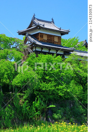 奈良県大和郡山市　郡山城跡　東隅櫓 114330973