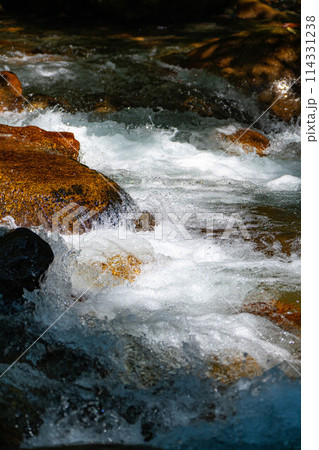 【渓流素材】水しぶき 沢 渓流【長野県】 【渓流素材】水しぶき 沢 渓流【長野県】 114331238