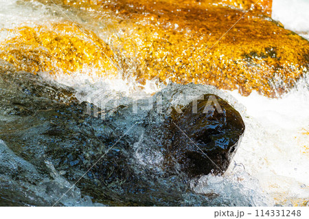 【渓流素材】水しぶき　沢　渓流【長野県】 114331248