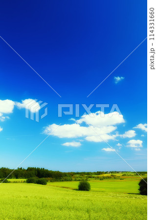 Blue sky, landscape and farm with nature in field, travel or agriculture with sustainability, growth and eco friendly. Meadow, land or holiday in Switzerland with ecosystem, biodiversity and location 114331660
