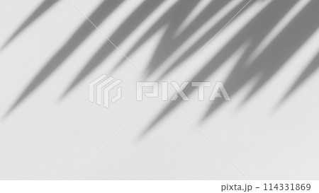 白い壁に映る抽象的な植物の影のシルエット（乗算などで使用想定） 114331869