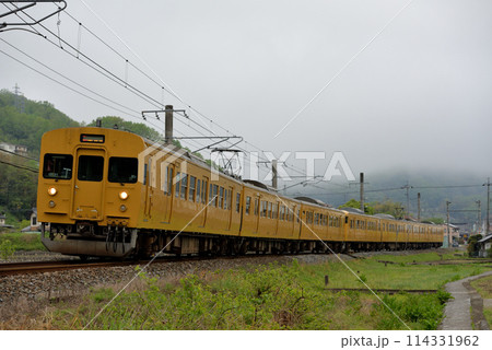 伯備線を走る115系普通電車7両 伯備線を走る115系普通電車7両 114331962